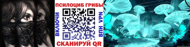 блэк спрут зеркало Иваново Псилоцибиновые грибы Psilocybe